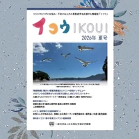 画像274